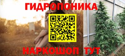 крисы Гудермес