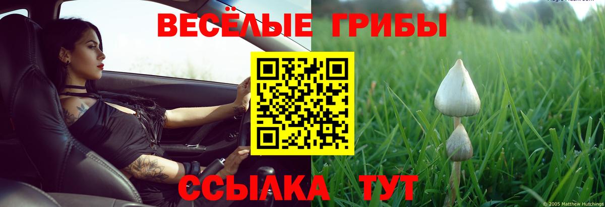 Полысаево  Галлюциногенные грибы Magic Shrooms  Вход с VPN 
